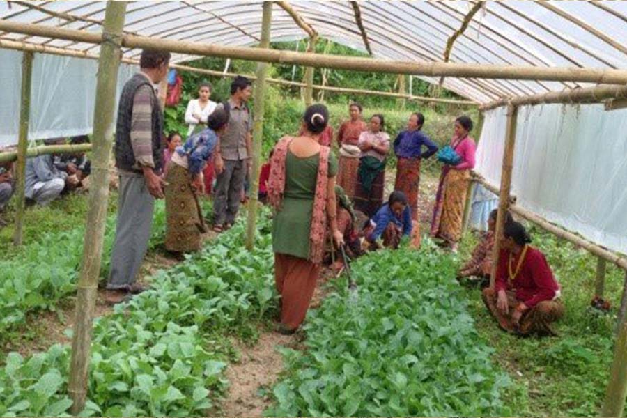 Maile Lama and other villagers participate in a training program at Tevel's demonstration farm.