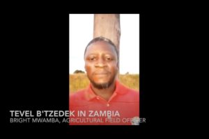 Tevel Agricultural Field Officer, Bright Mwamba